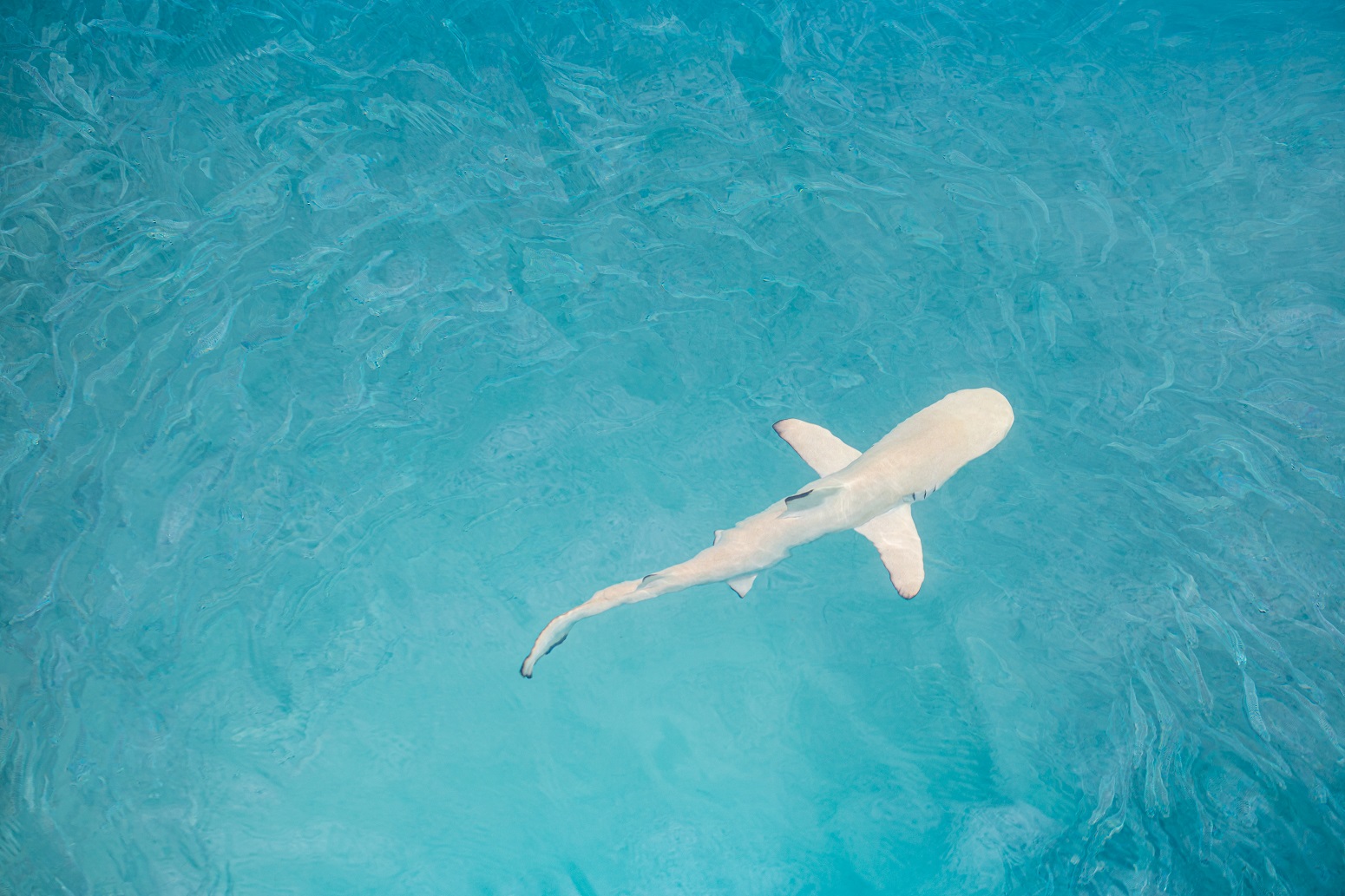 maldivas paraiso oceano indico